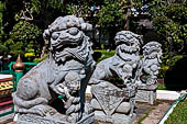 Bangkok Wat Arun - Chinese lions guarding the entrance of the Ubosot. 